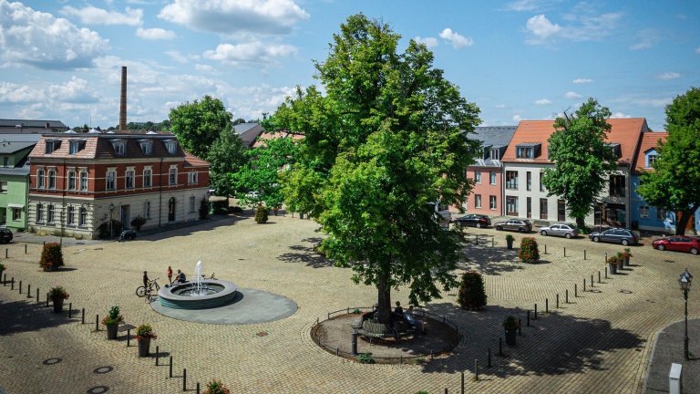 Marktplatz Werder (Havel)