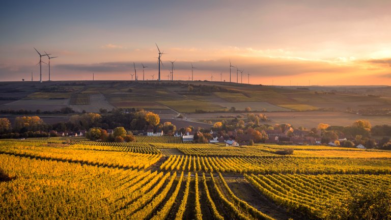 Felder mit Windrädern im Hintergrund