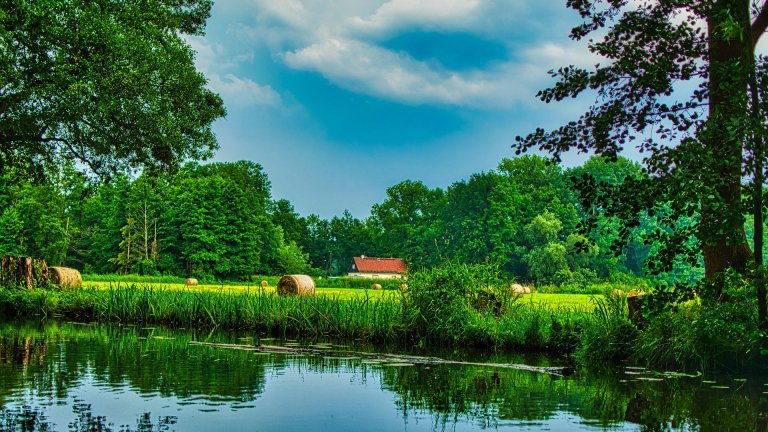 Spreewald Brandenburg