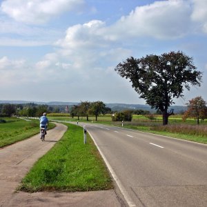 Eine Landstraße mit separatem Radweg auf dem ein Radfahrer fährt.